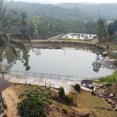 Willostays Villa Tranquil De Susanj サクルシュプール エクステリア 写真