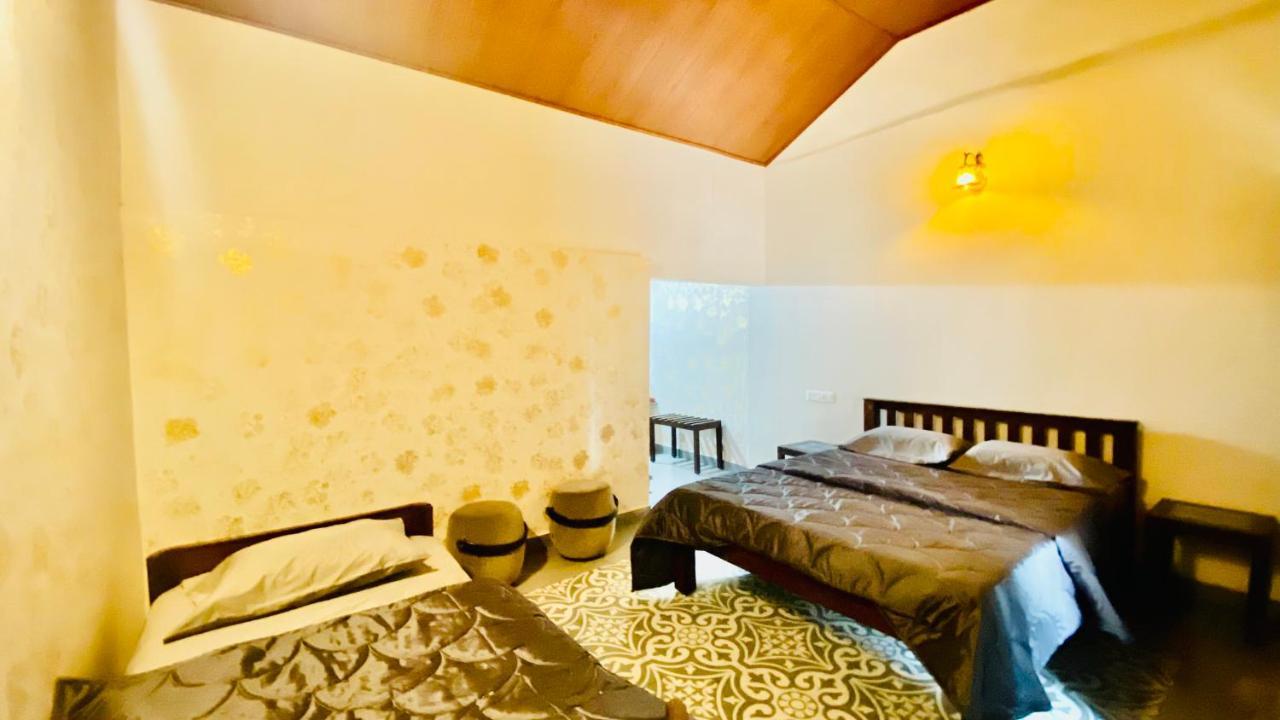 Willostays Villa Tranquil De Susanj サクルシュプール エクステリア 写真